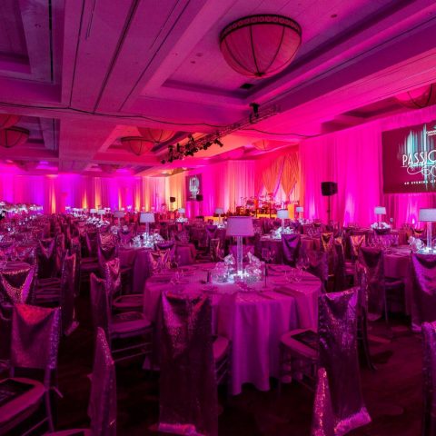 Cancer Partners – Passions Ball 2018