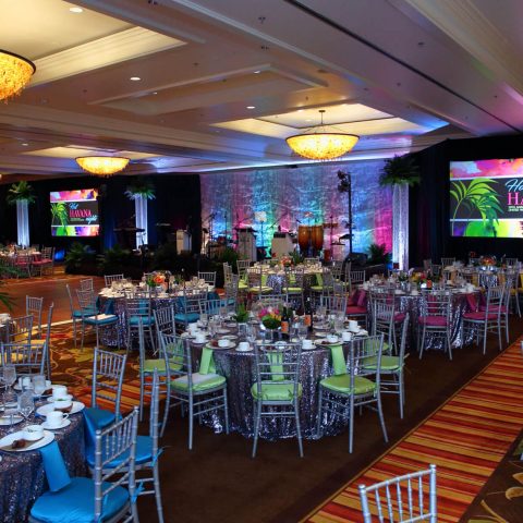 United Way – Hot Havana Nights