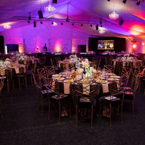 THE LIVING DESERT – 50TH ANNIVERSARY GALA