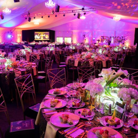 THE LIVING DESERT – 50TH ANNIVERSARY GALA