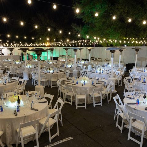 ONE NIGHT ONLY VIP SPONSOR DINNER