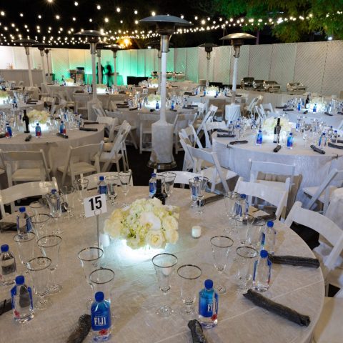 ONE NIGHT ONLY VIP SPONSOR DINNER