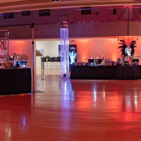 PALM SPRINGS ART MUSEUM ART PARTY 2026