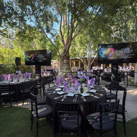 COLOR THE WORLD 2026 OLD TOWN ARTISAN STUDIOS