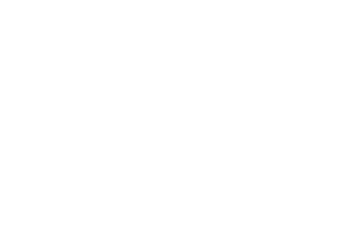 The Vintage Club