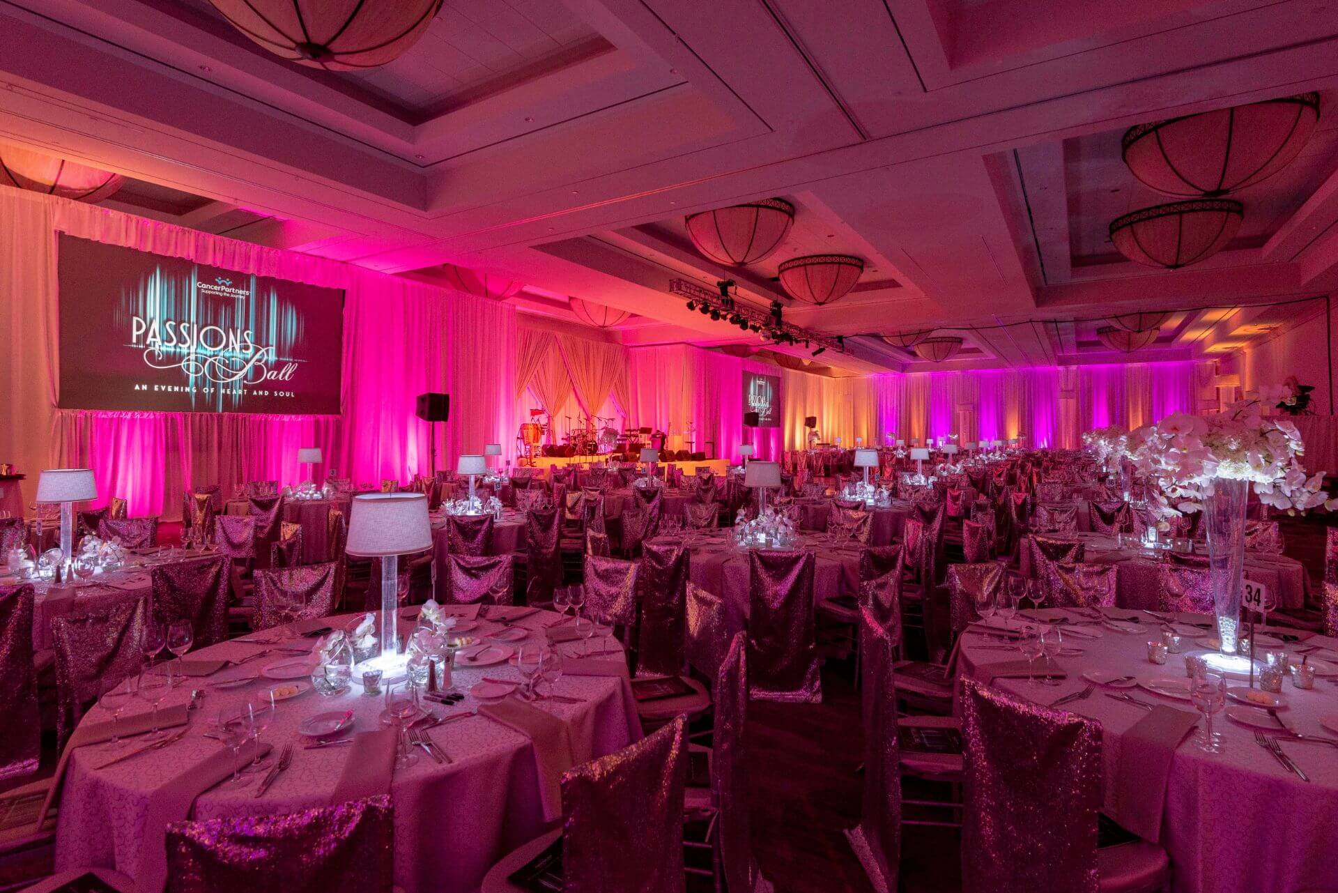 Cancer Partners | Passions Ball 2018 4
