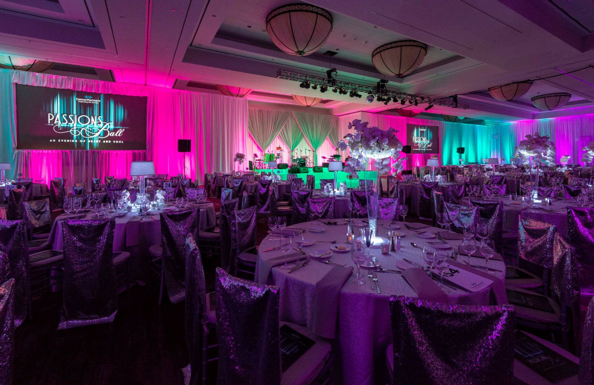 Cancer Partners | Passions Ball 2018 3