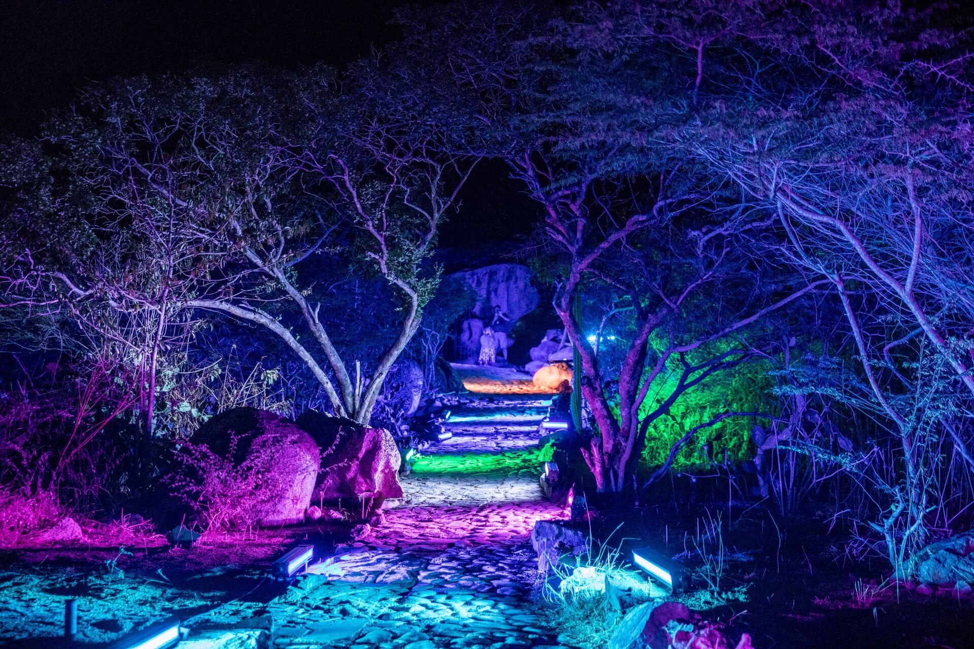 Corporate Event Planning Company In The Caribbean 5