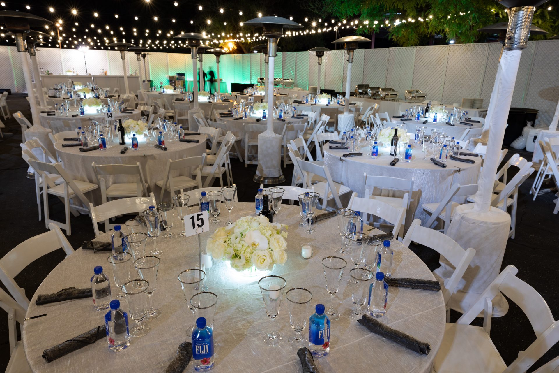 ONE NIGHT ONLY VIP SPONSOR DINNER 2
