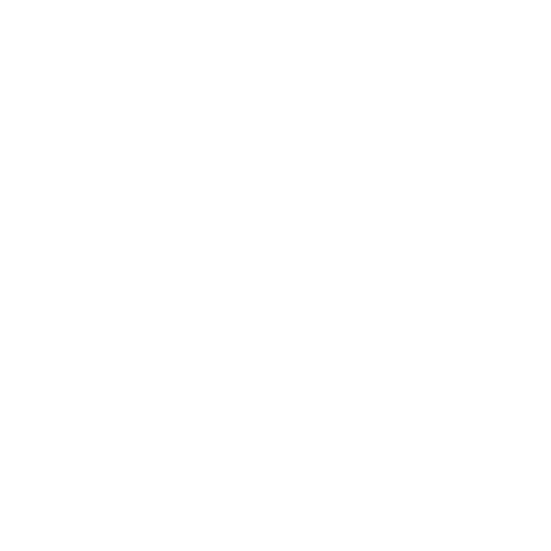 COMPASSION IN ACTION CENTRAL CITY CONCERN