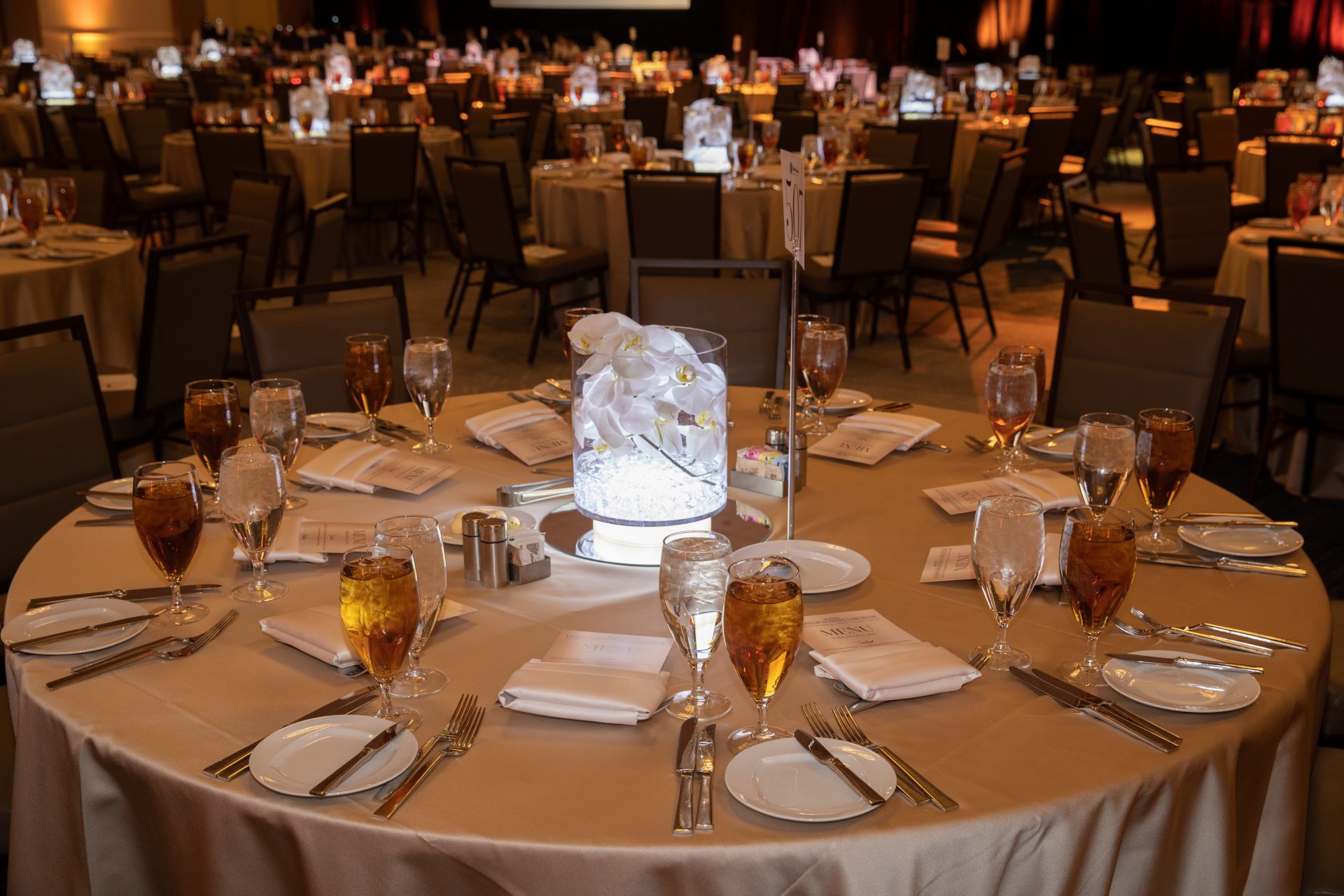 Children’s Center Luncheon | Event Services | Party Planners 2