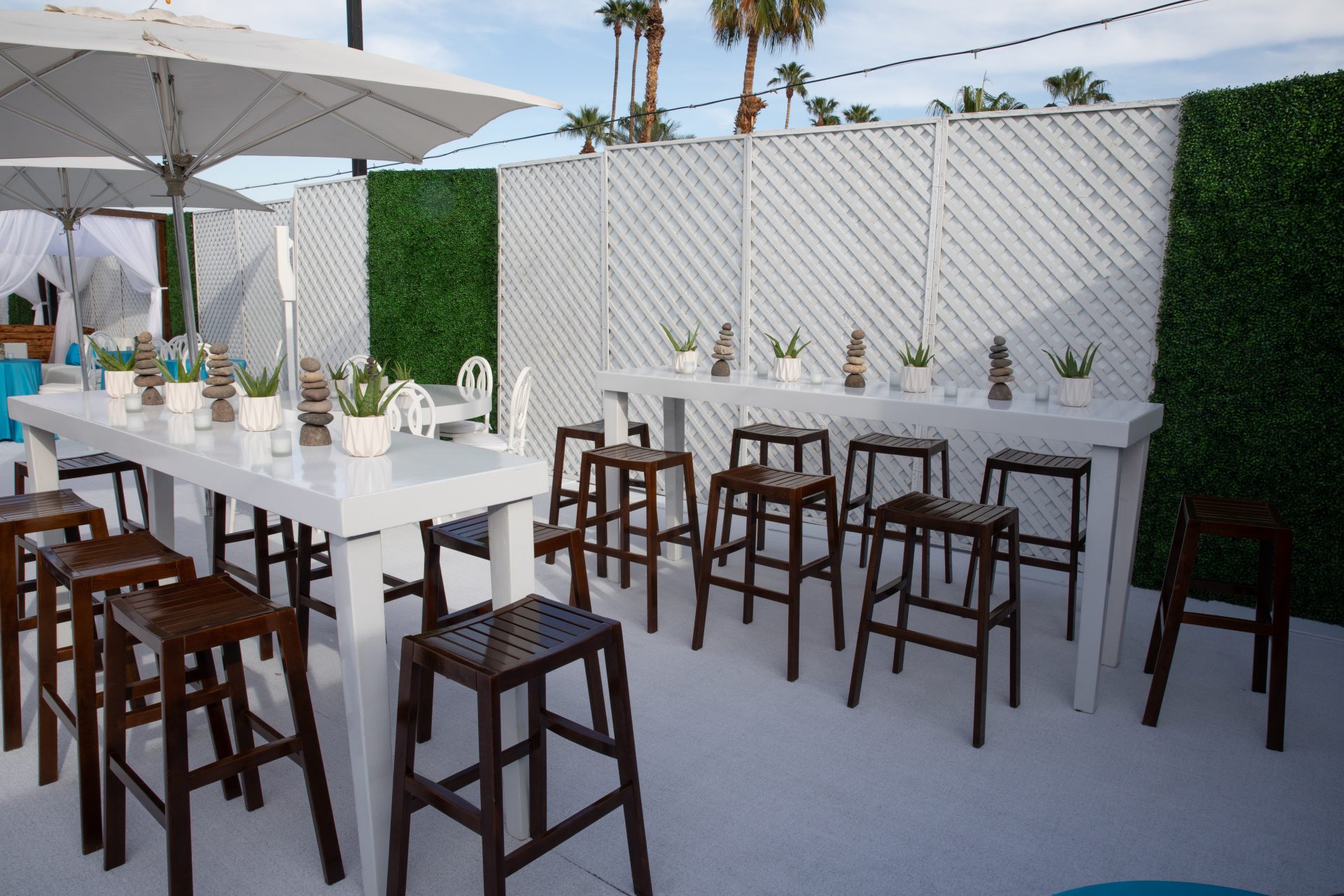 It’s A No Grainer Book Launch Celebration 2022 | Event Production 5
